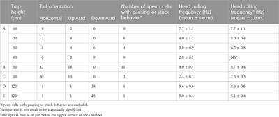 Chirality and frequency measurement of longitudinal rolling of human sperm using optical trap